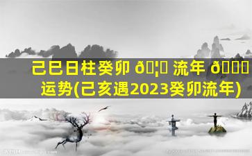 己巳日柱癸卯 🦈 流年 🐞 运势(己亥遇2023癸卯流年)